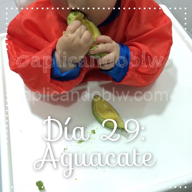 BGL - Como servir el aguacate🥑 a los bebes vía Baby Led Weaning. Imagen 4  y 6 con nuestra precuchara @numnuminc que les permite comer independiente  comida tipo purés también! 💵Pack 2 precucharas Q130