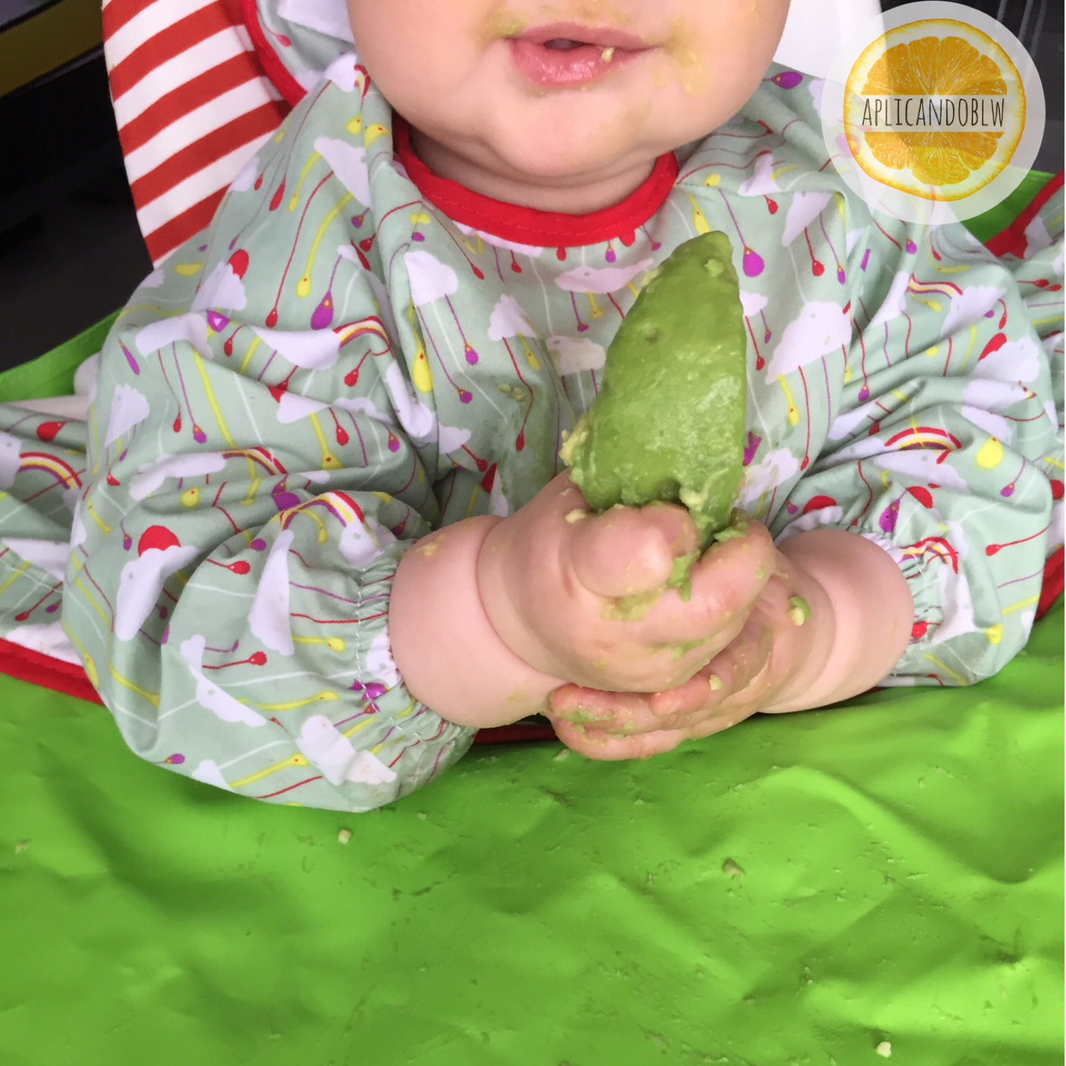 blw 6 meses - baby led weaning aguacate