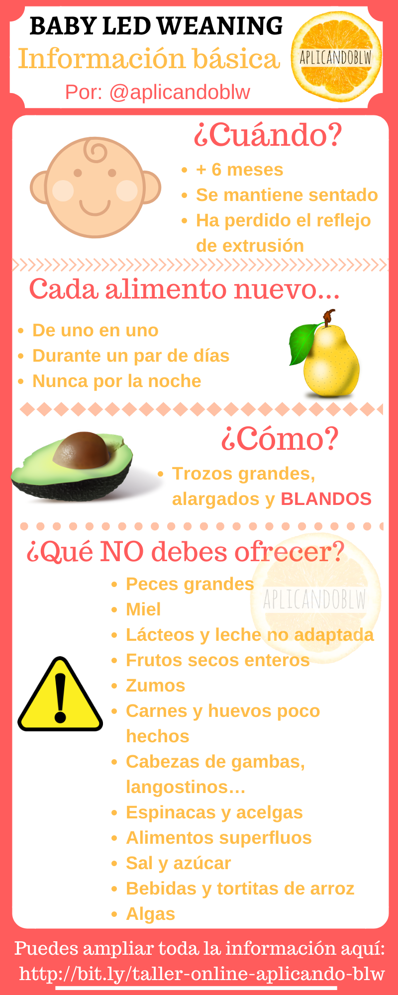 Libros y blogs sobre Baby Led Weaning (BLW) y alimentación complementaria -  Disfruti